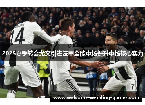 2025夏季转会尤文引进法甲全能中场提升中场核心实力 2025夏季转会尤文引进法甲全能中场提升中场核心实力